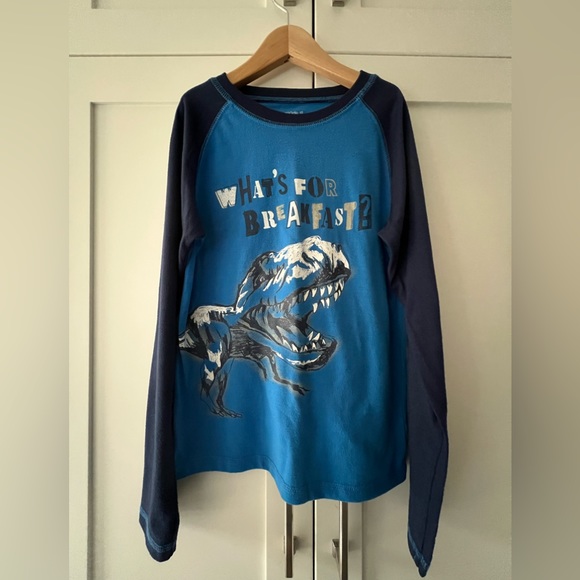 Gap boy’s Dinosaur fleece pj set - Picture 6 of 7